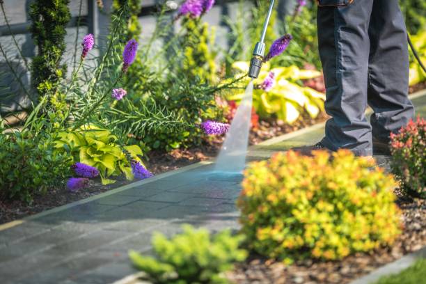 Best Gutter Cleaning  in Big Pine Key, FL